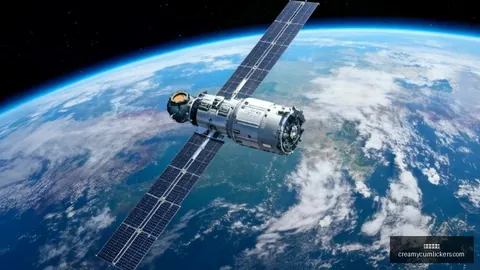 斯波赞维金斯深度解析：融入顶级强队的秘诀，前队长甘做关键拼图